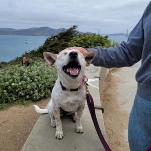 Meet your Posher, Wenjun